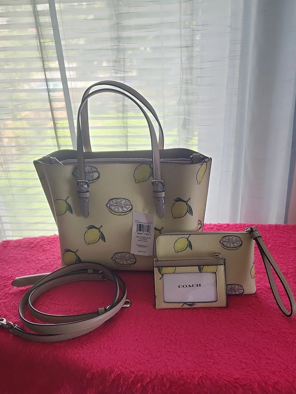 Coach Lemon Print 